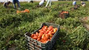 India’s agriculture exports registers increase of 17.34% in 2020-21