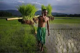 Indian farmers meet experts to learn ways to boost agri export