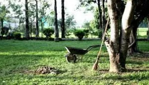 India’s first Cryptogamic Garden has been inaugurated in Uttarakhand