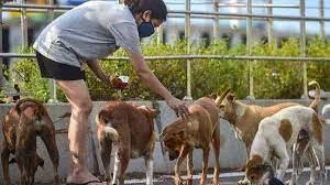 World Zoonoses Day 2021