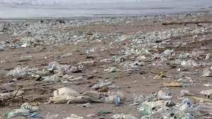 Govt to ban manufacture, sale and use of single-use plastic items