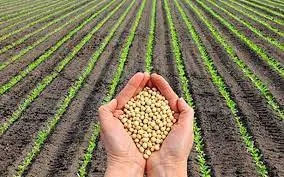 FICCI to hold virtual agriculture summit on Nov 17-18