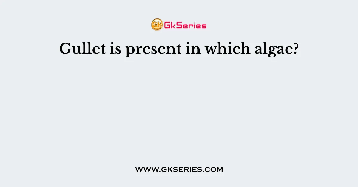 Gullet is present in which algae?