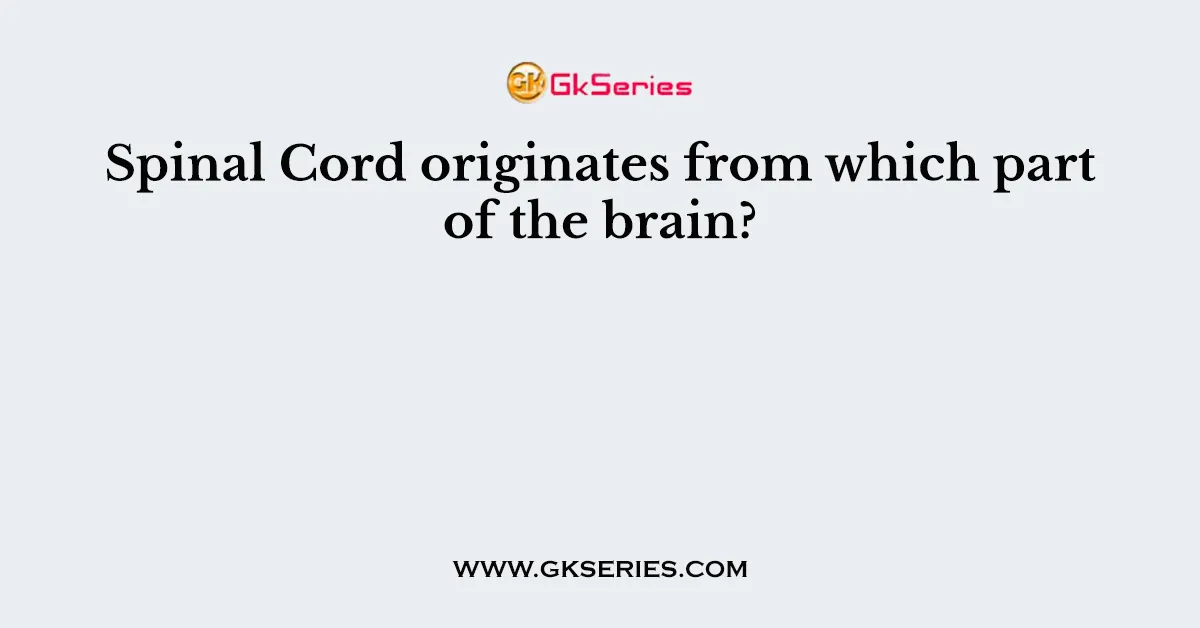 Spinal Cord originates from which part of the brain?
