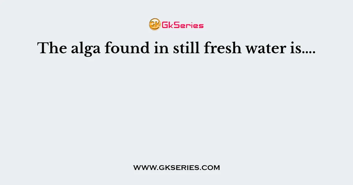 The alga found in still fresh water is….