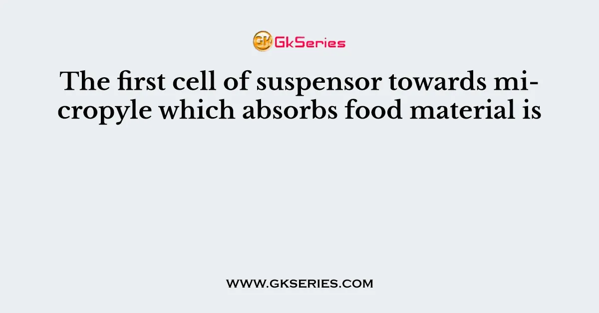 The first cell of suspensor towards micropyle which absorbs food material is
