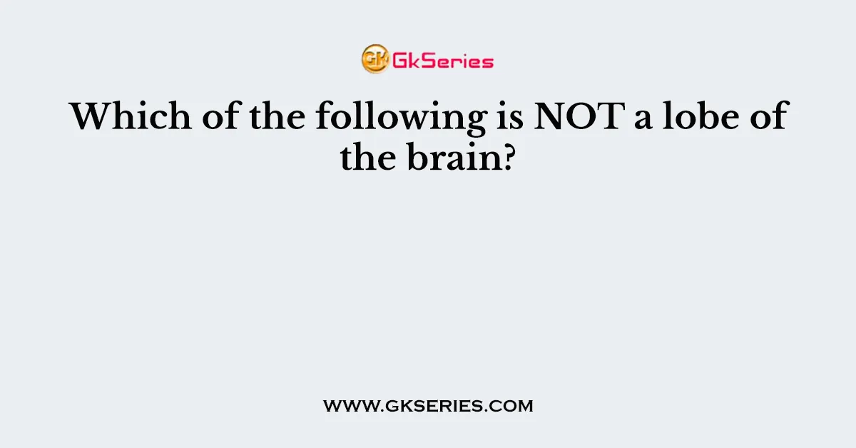 Which of the following is NOT a lobe of the brain?