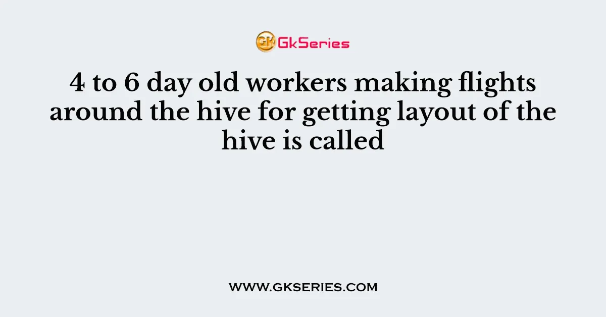 4 to 6 day old workers making flights around the hive for getting layout of the hive is called