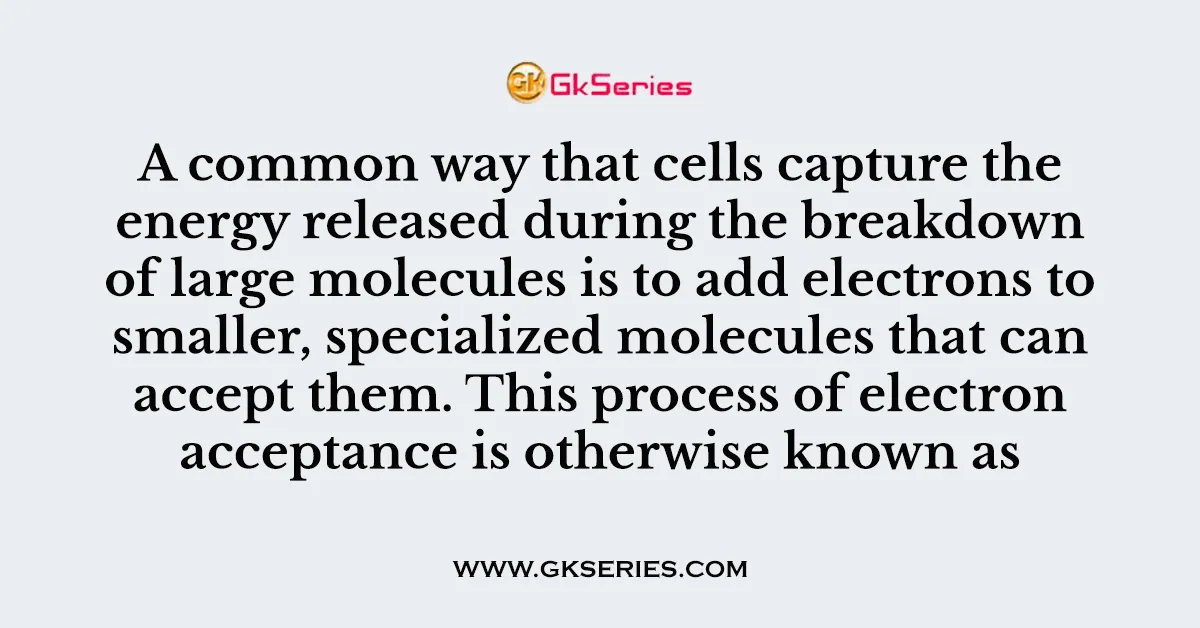 A common way that cells capture the energy released during the breakdown of large molecules is to add electrons to smaller, specialized molecules that can accept them. This process of electron acceptance is otherwise known as