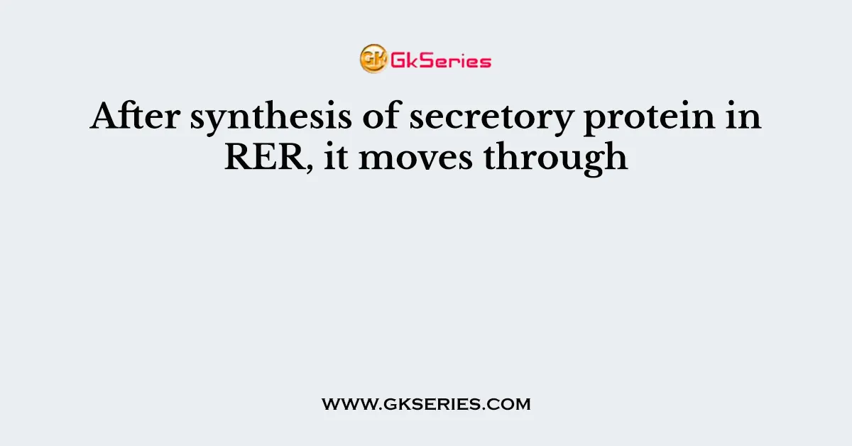 After synthesis of secretory protein in RER, it moves through