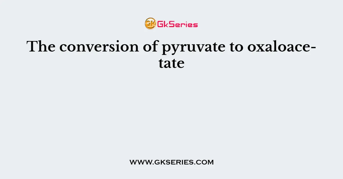 The conversion of pyruvate to oxaloacetate
