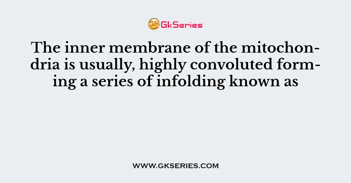 The inner membrane of the mitochondria is usually, highly convoluted forming a series of infolding known as