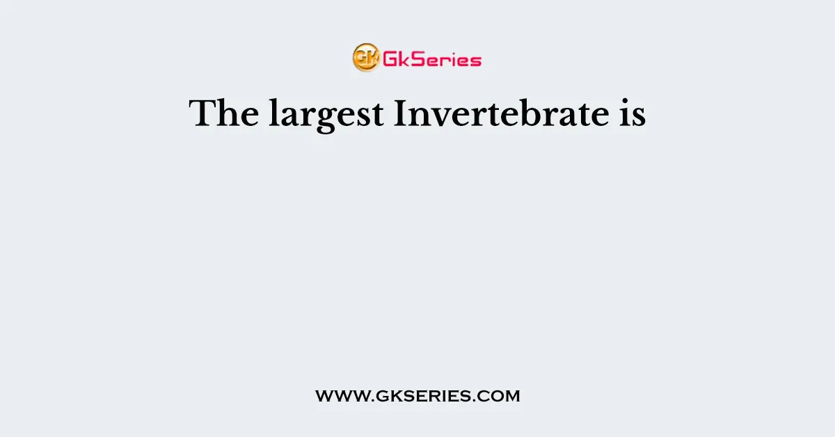The largest Invertebrate is