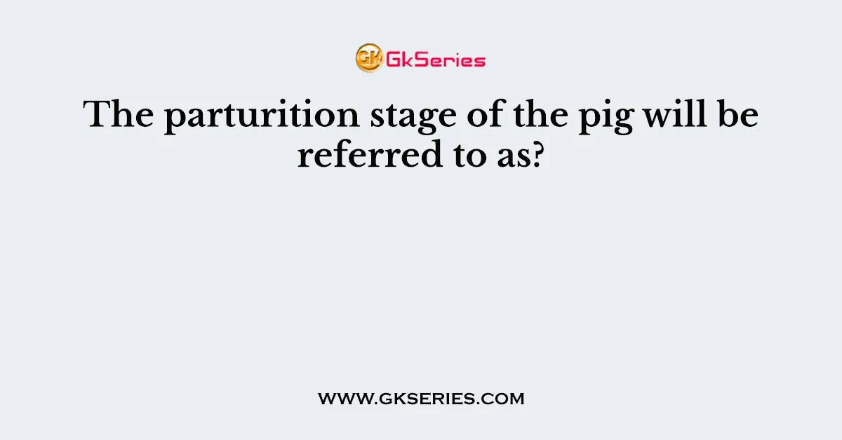 The parturition stage of the pig will be referred to as?