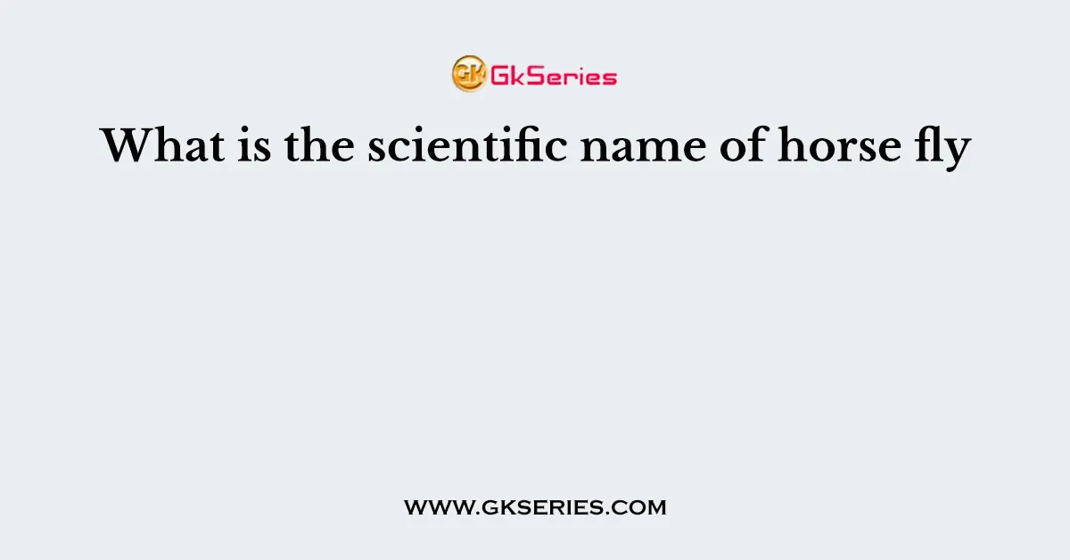 What is the scientific name of horse fly