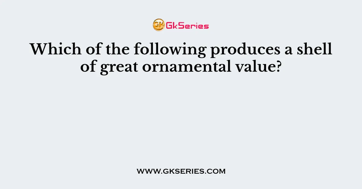 Which of the following produces a shell of great ornamental value?