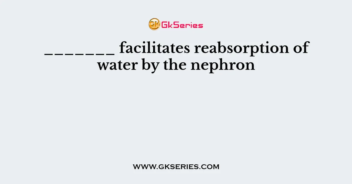 _______ facilitates reabsorption of water by the nephron
