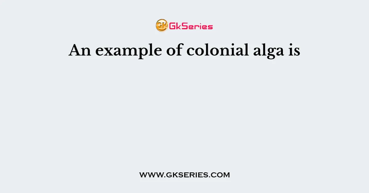 An example of colonial alga is