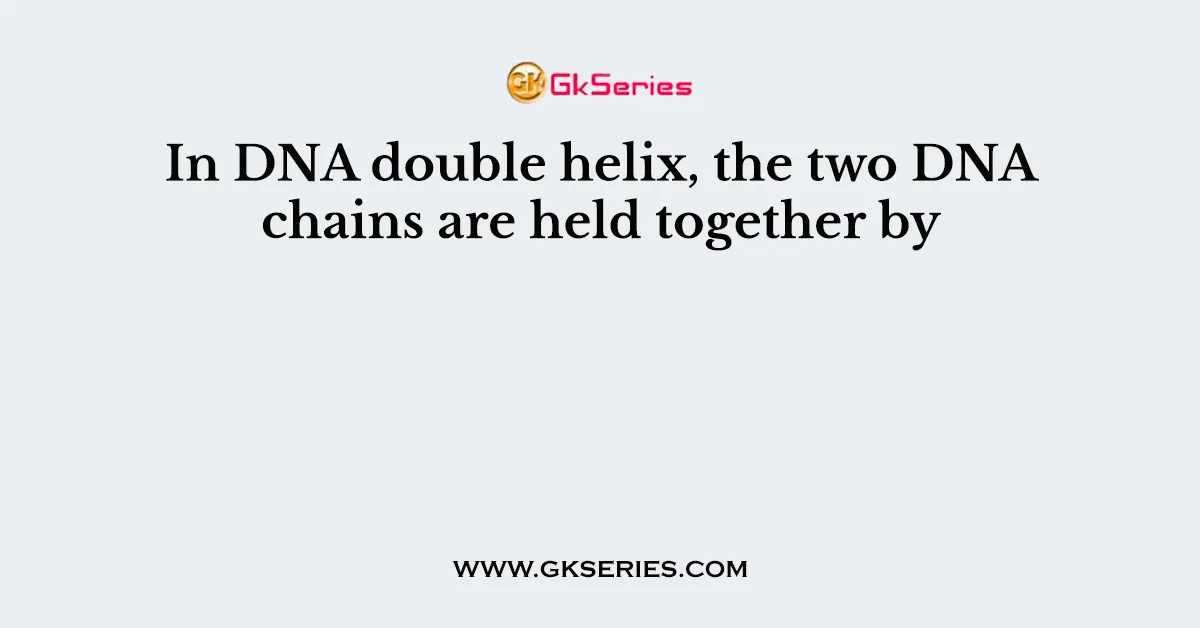 In DNA double helix, the two DNA chains are held together by