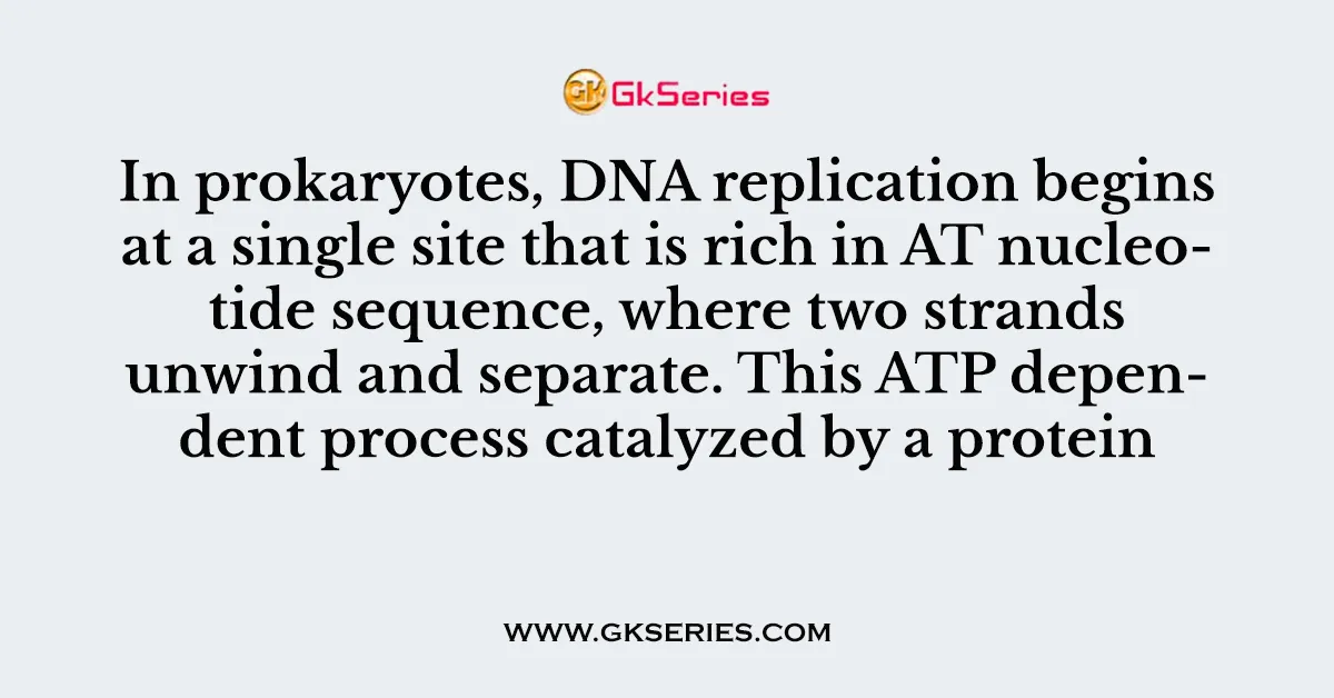 In prokaryotes, DNA replication begins at a single site that is rich in AT nucleotide sequence