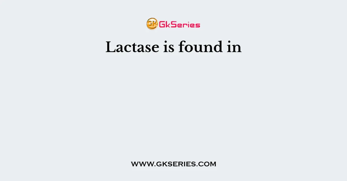 Lactase is found in