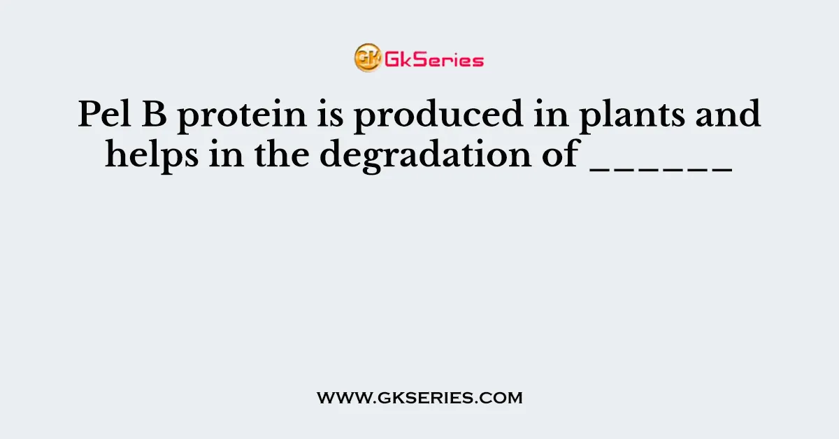 Pel B protein is produced in plants and helps in the degradation of ______ 