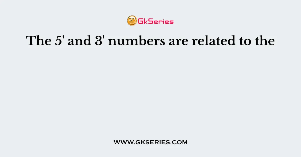 The 5' and 3' numbers are related to the