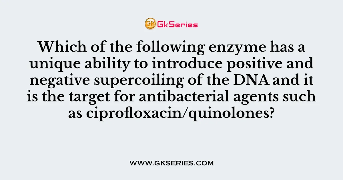 Which of the following enzyme has a unique ability to introduce positive and negative supercoiling of the DNA and it is the target for antibacterial agents such as ciprofloxacin/quinolones?
