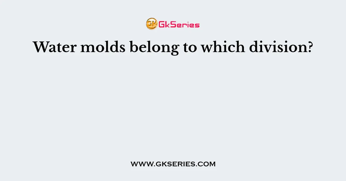 Water molds belong to which division?