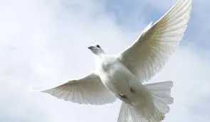 Time of Remembrance and Reconciliation for Those Who Lost Their Lives during the Second World War