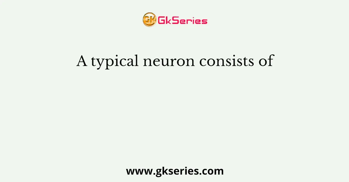 A typical neuron consists of