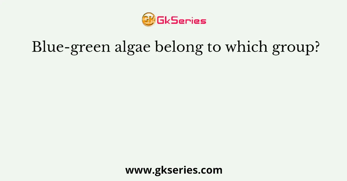 Blue-green algae belong to which group?