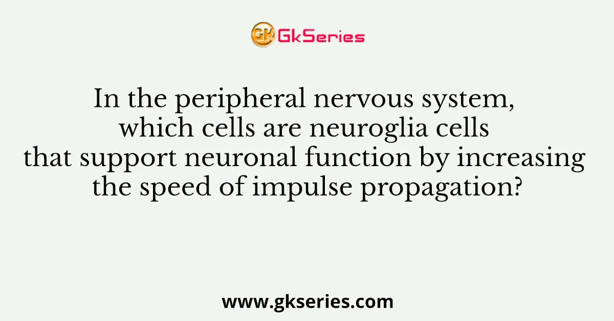 In the peripheral nervous system, which cells are neuroglia cells that support neuronal function by increasing the speed of impulse propagation?