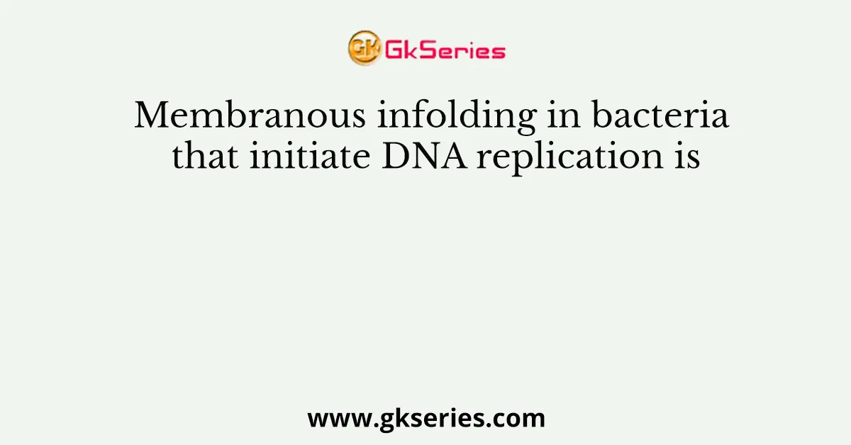 Membranous infolding in bacteria that initiate DNA replication is
