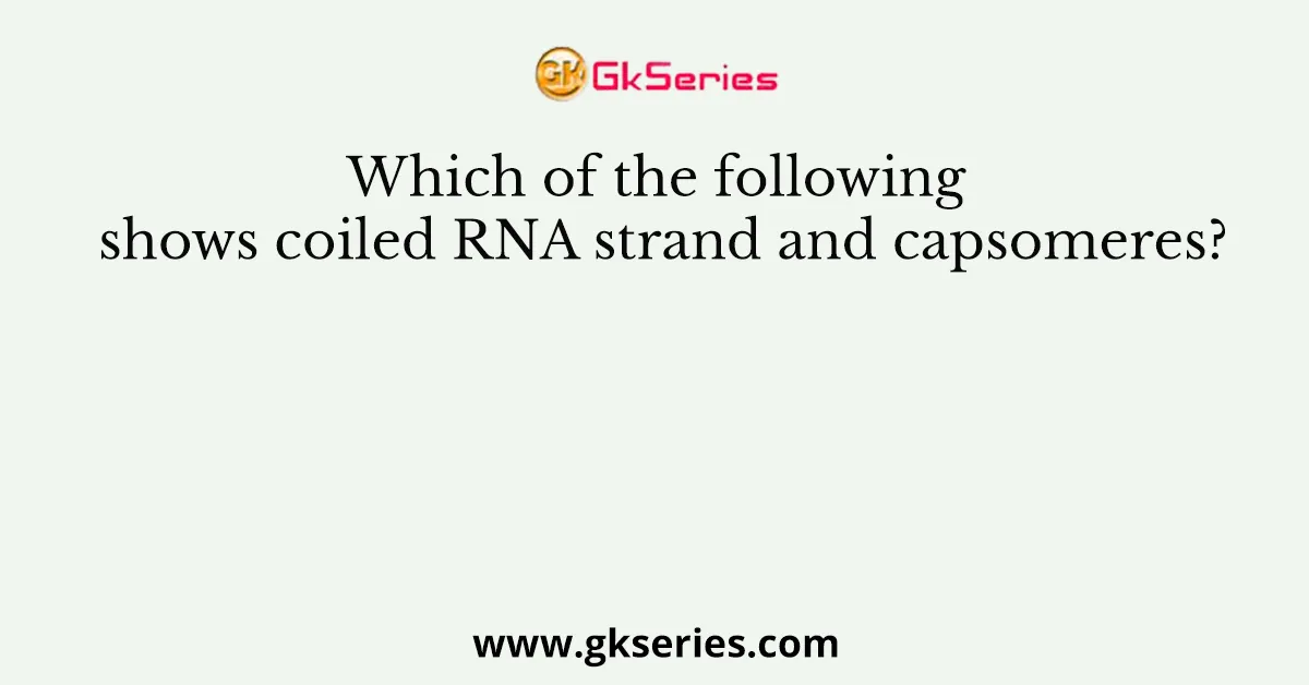 Which of the following shows coiled RNA strand and capsomeres?