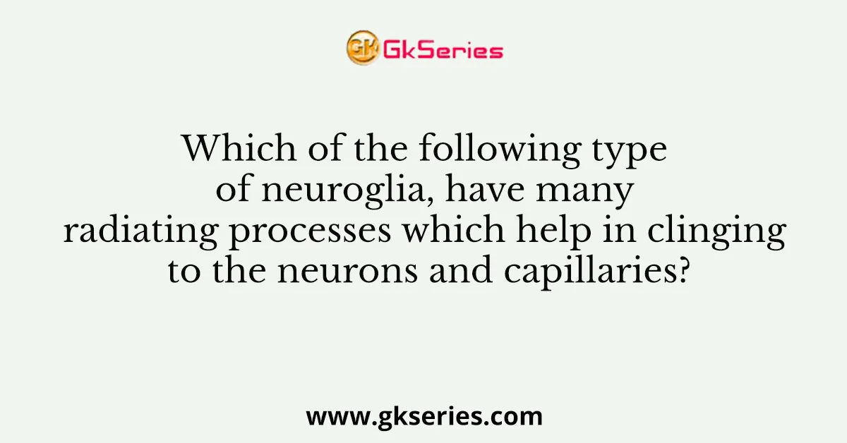 Which of the following type of neuroglia, have many radiating processes which help in clinging to the neurons and capillaries?