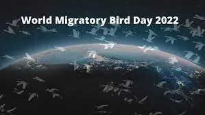 World Migratory Bird Day 2022 celebrates on 8th October