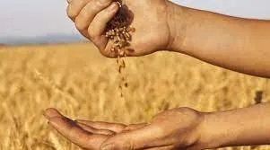 2022 Global Food Security Index (GFSI) Report