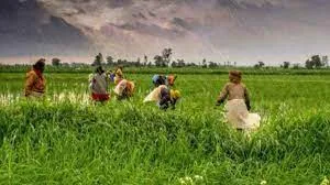 Indian National Farmer’s Day 2022 celebrates on 23 December
