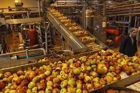 Food Processing Industry Invests Nearly Rs 4,900 Crore Under PLI Scheme