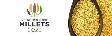 International Year of millets 2023