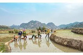 MoU signed to facilitate low interest rate loans to farmers