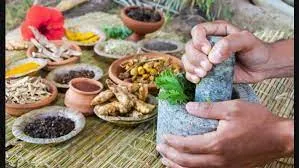 5th Edition Of Global Ayurveda Festival