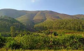 Odisha announces state forest rights scheme