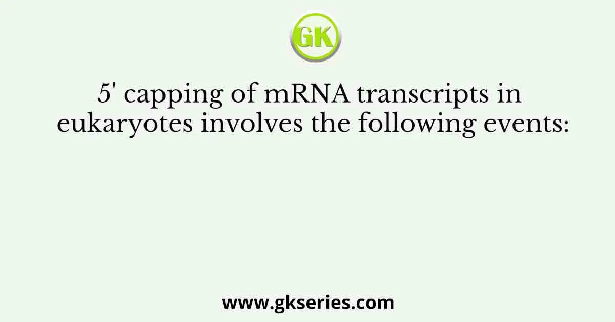 5' capping of mRNA transcripts in eukaryotes involves the following events: