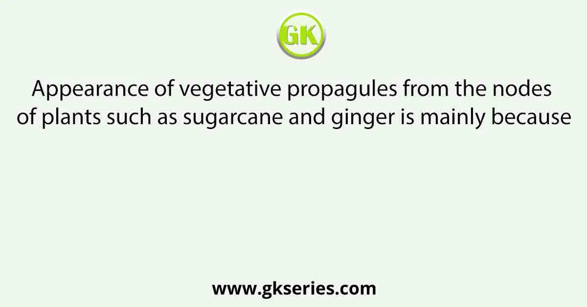 Appearance of vegetative propagules from the nodes of plants such as sugarcane and ginger is mainly because