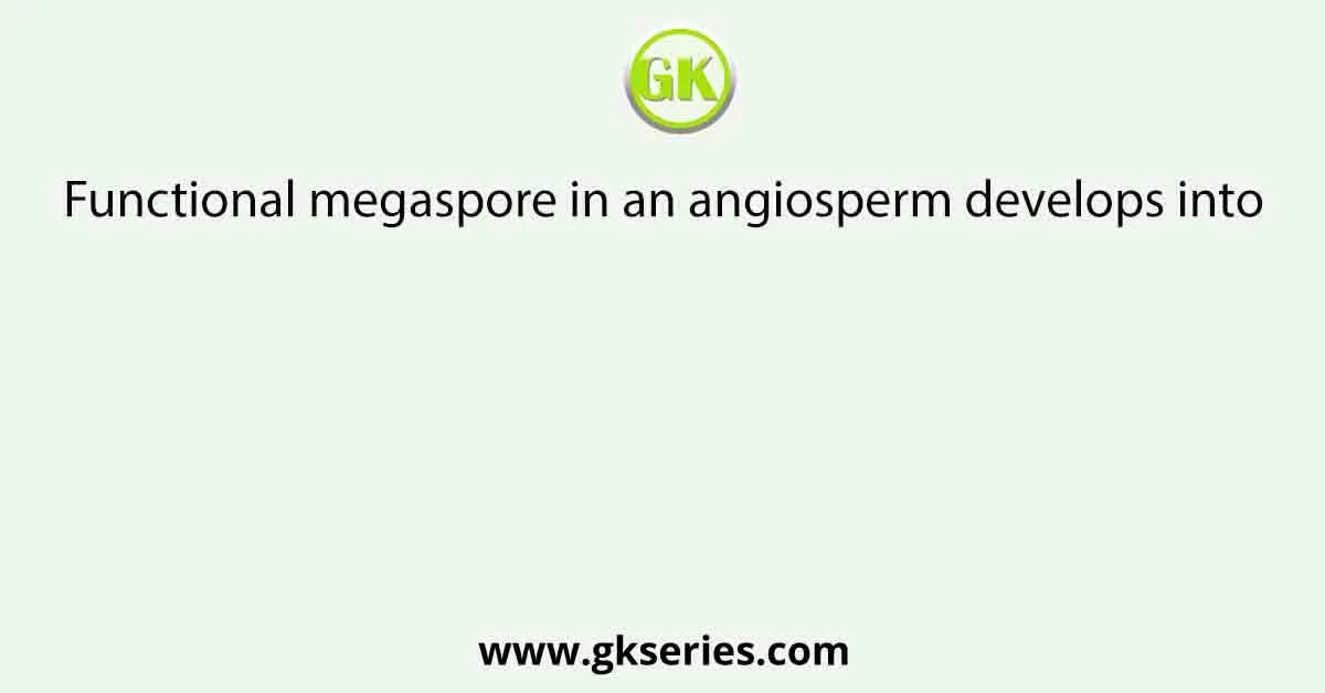 Functional megaspore in an angiosperm develops into