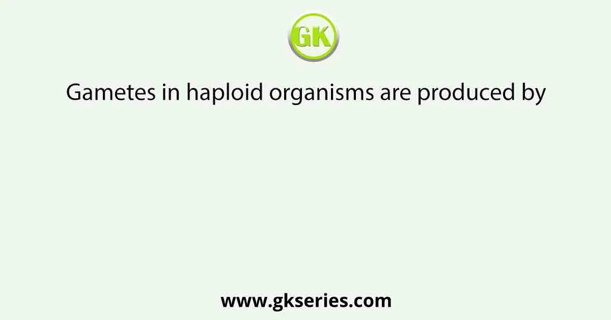 Gametes in haploid organisms are produced by
