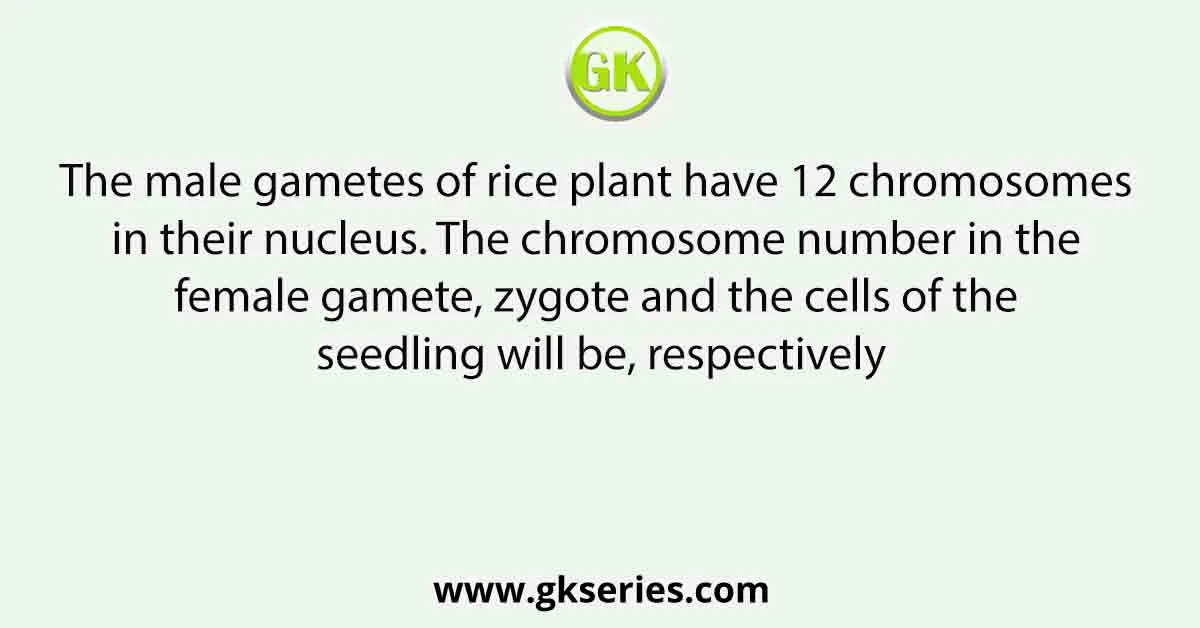 The male gametes of rice plant have 12 chromosomes in their nucleus. The chromosome number in the female gamete, zygote and the cells of the seedling will be, respectively