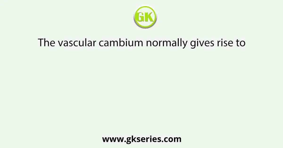 The vascular cambium normally gives rise to
